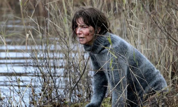 Irene Huss 8: Det lömska nätet