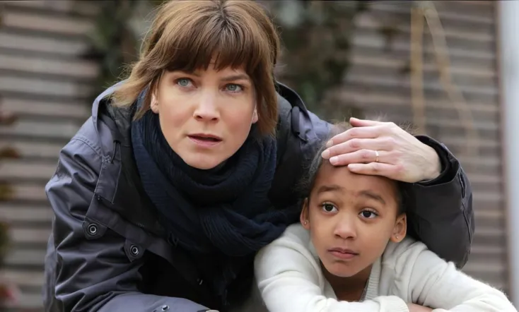 Irene Huss 11: I skydd av skuggorna