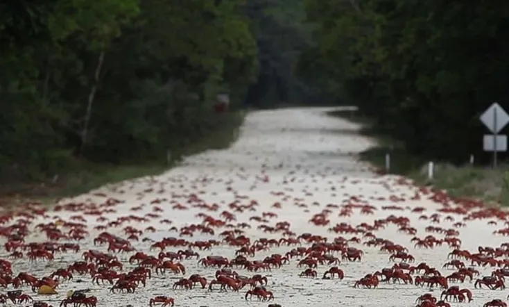 Island of the Hungry Ghosts