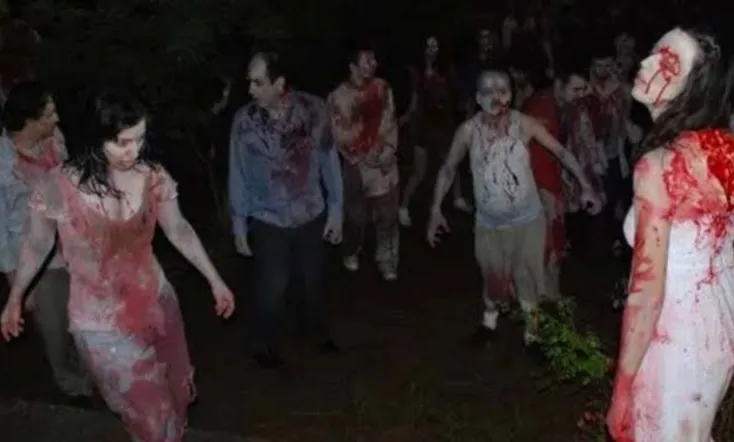 Island: Wedding of the Zombies