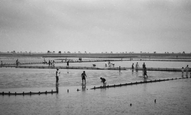 I tried watching my film twice and fell asleep twice