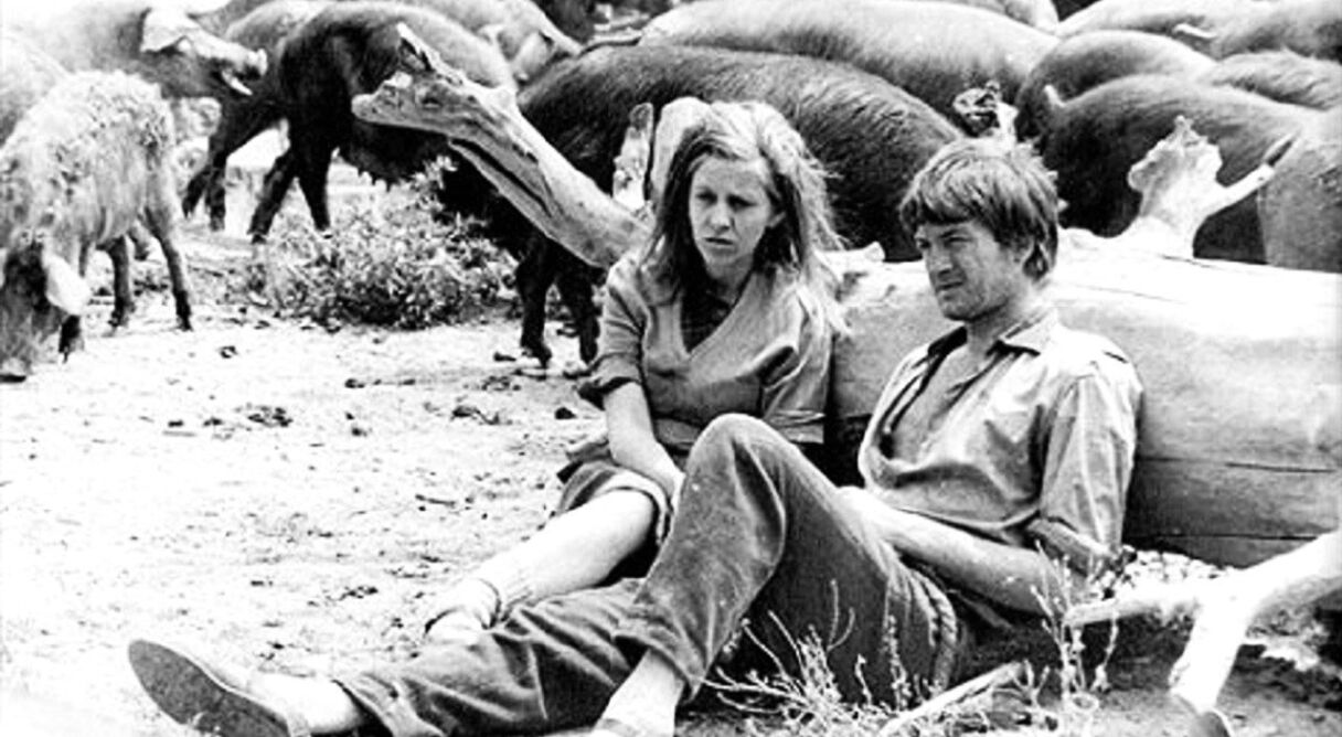 It Rains in My Village