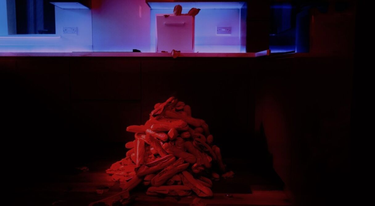 It's Dog to Make A Houseplant If You're Sandwich