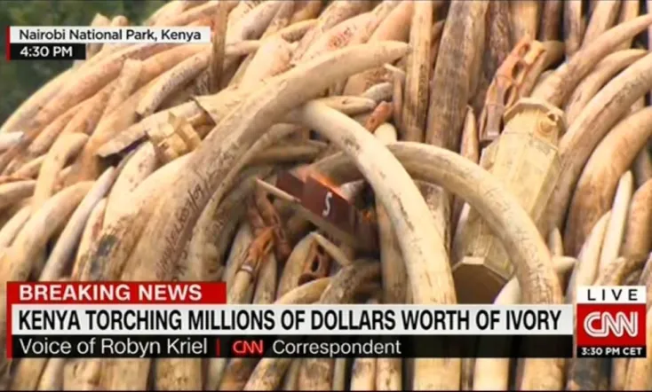 Ivory.  A Crime Story
