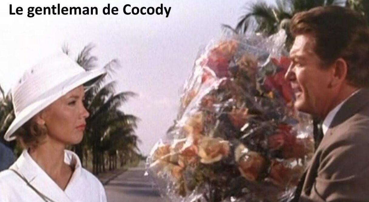 Ivory Coast Adventure