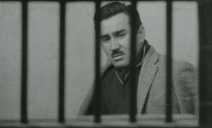 Jackal of Nahueltoro