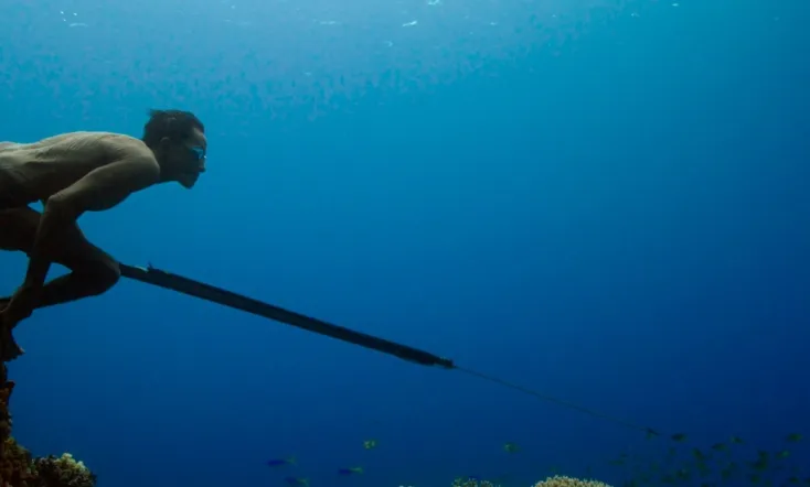 Jago: A Life Underwater