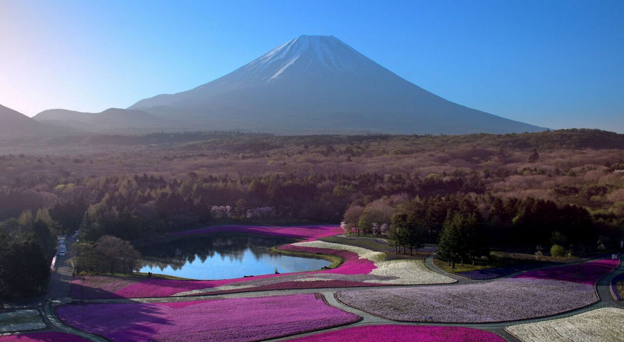 Japon, aux racines du soleil