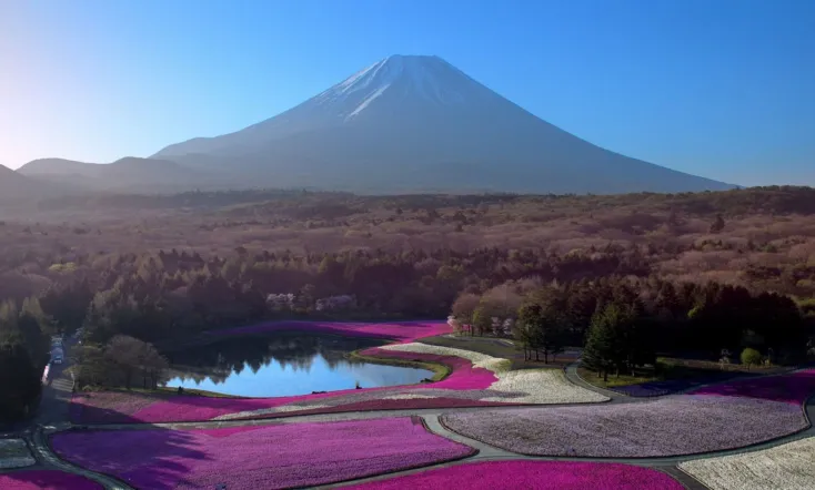 Japon, aux racines du soleil