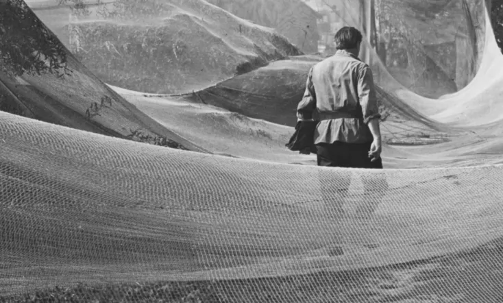 June, the Beginning of Summer