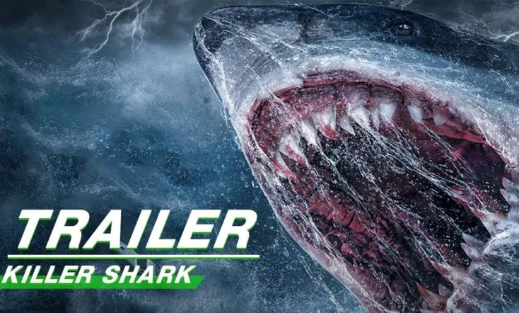 Killer Shark
