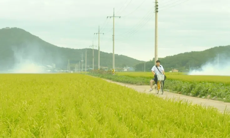 Knocking On The Door of Your Heart