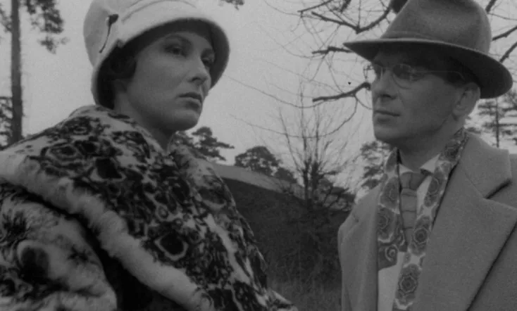 Kārkli pelēkie zied