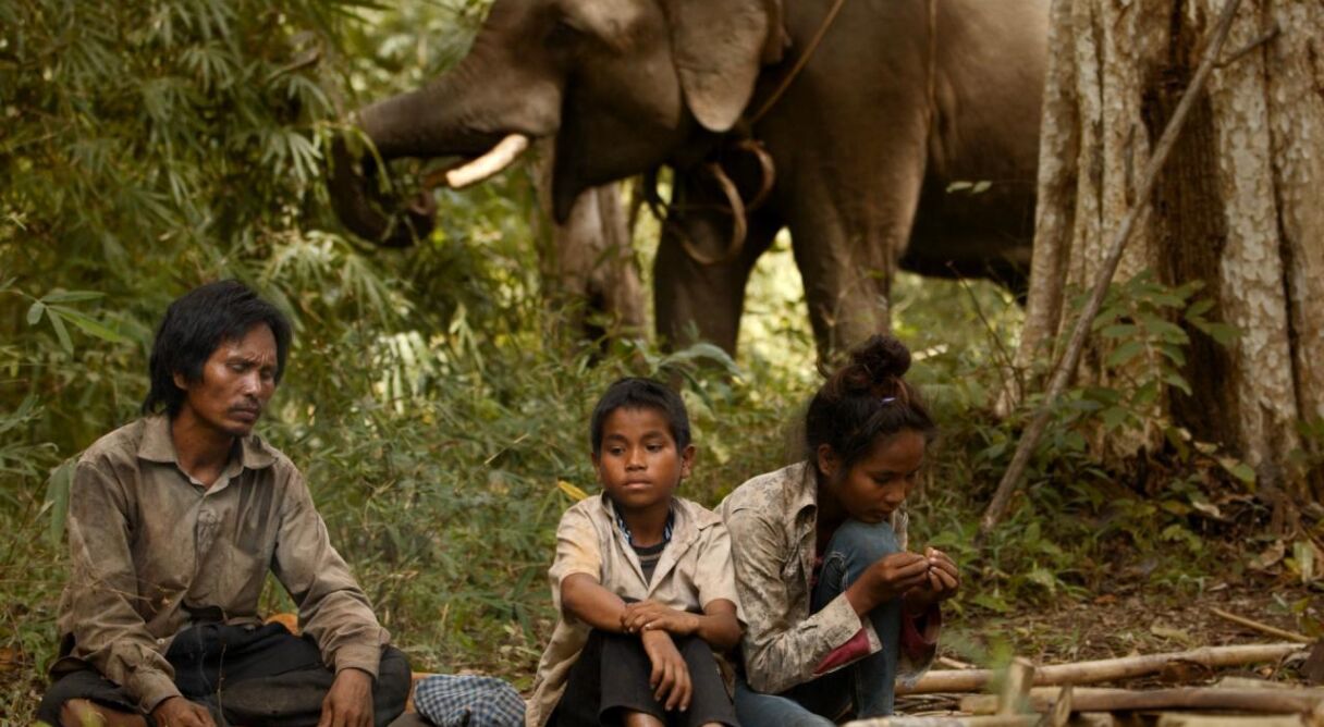 Last of the Elephant Men