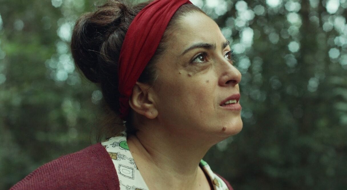 La Afinadora de Árboles