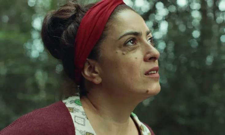 La Afinadora de Árboles