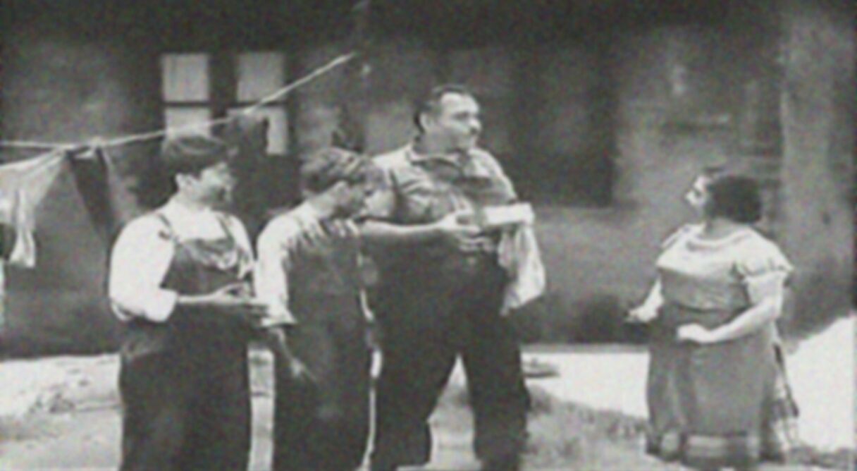 La cigüeña distraída