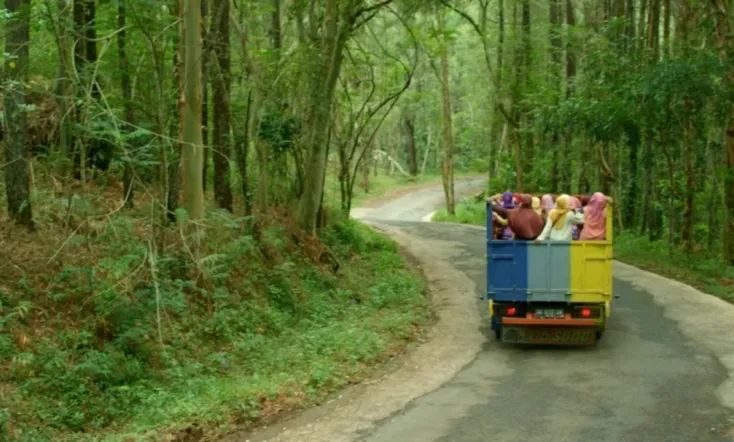 Ladies on Top (Tilik)