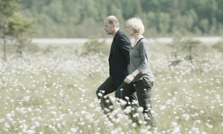 Landscape with Many Moons