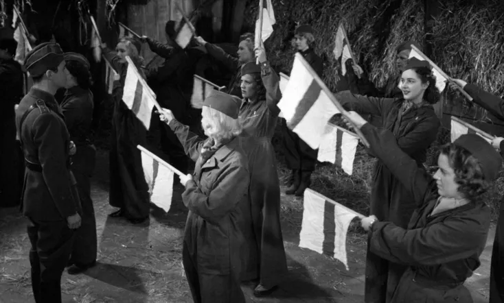 Landstormens lilla argbigga