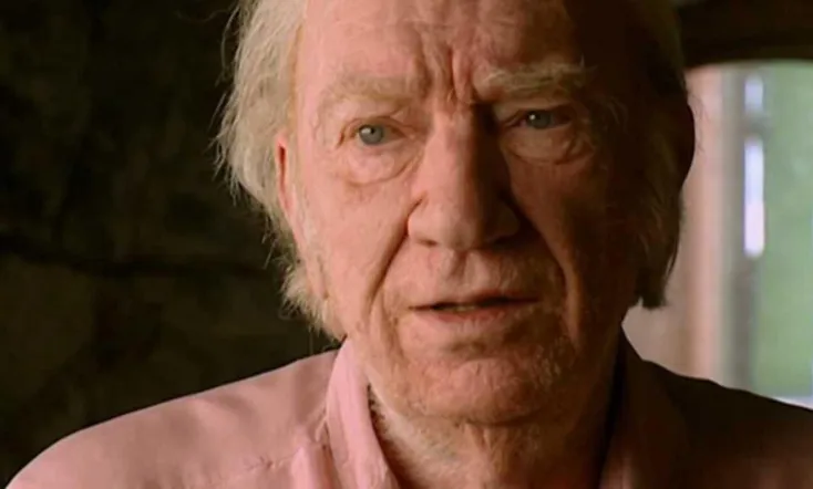 La silla de Fernando