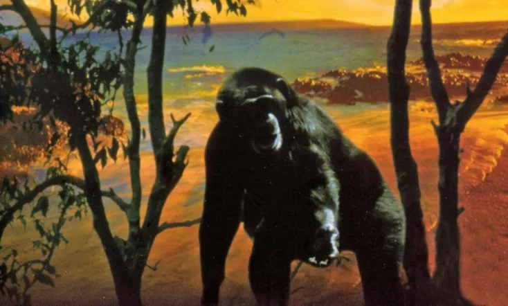 Le bestiaire d'amour