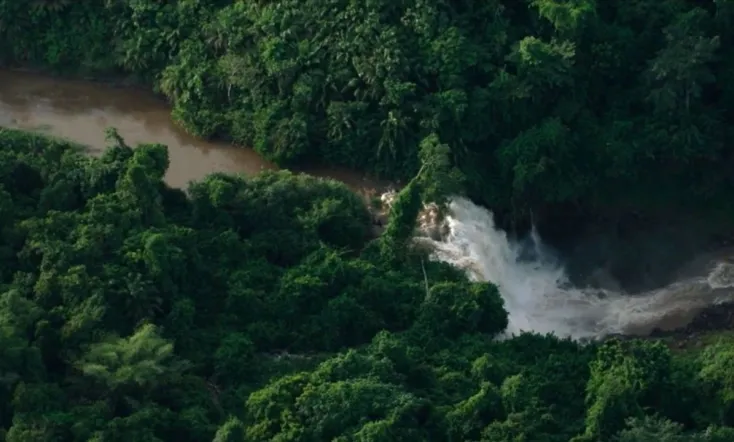 Le dernier poumon du monde