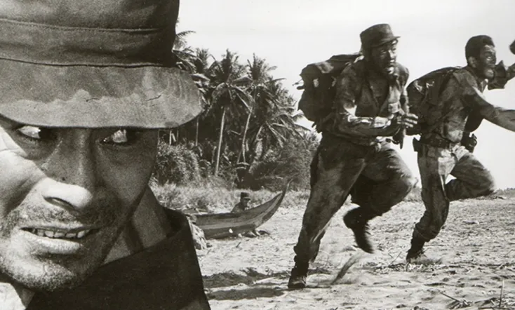 Legacy of the 500,000