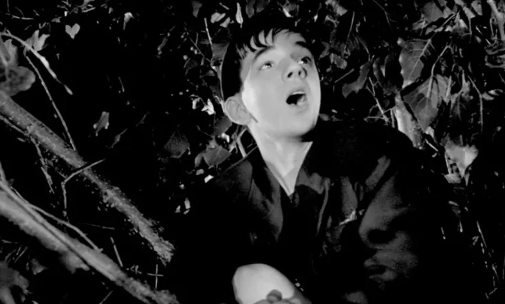 Le Rossignol et les cloches