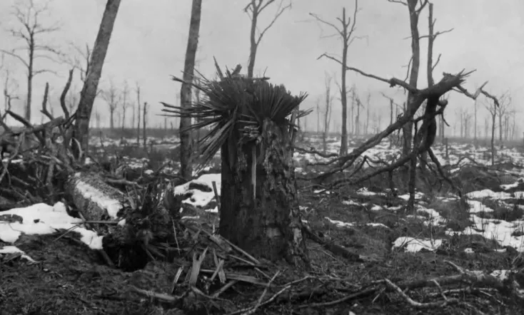 Le rouge et le gris, Ernst Jünger dans la grande guerre