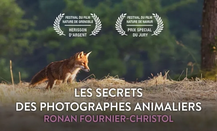 Les secrets des photographes animaliers