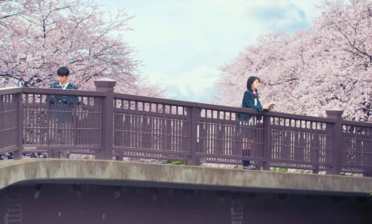 Let Me Eat Your Pancreas