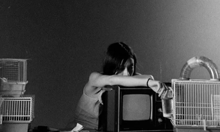 Letters to Paul Morrissey