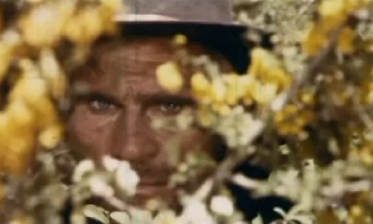 Let's Go And Kill Sartana