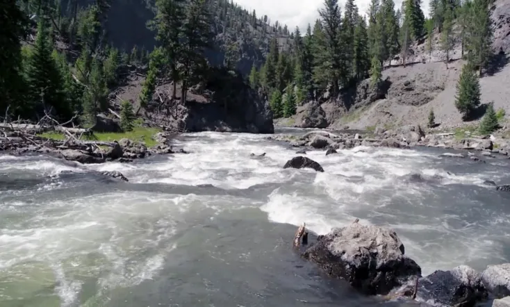 L'Europe à la reconquête de la biodiversité