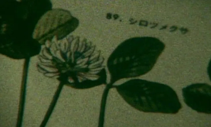 Life Can Be So Wonderful