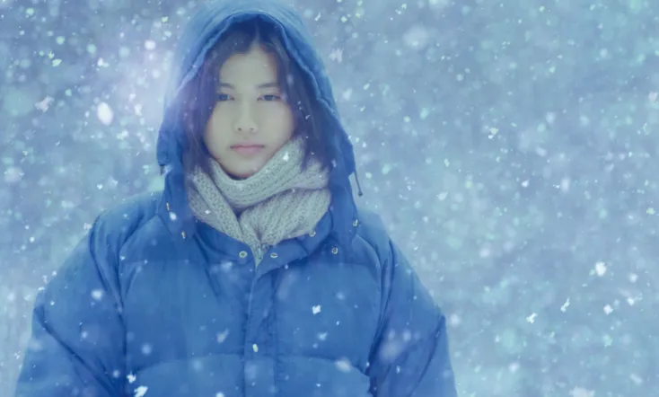 Little Forest: Winter/Spring