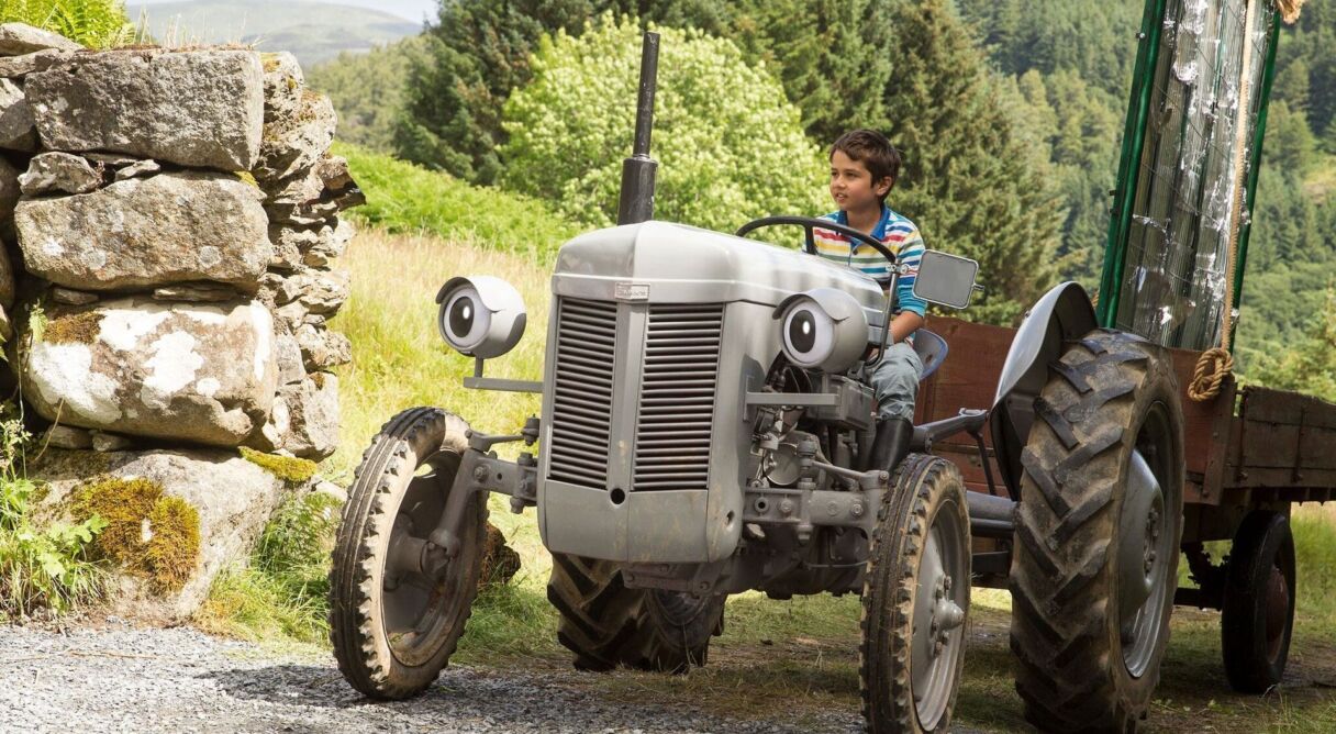 Little Grey Fergie Saves The Farm