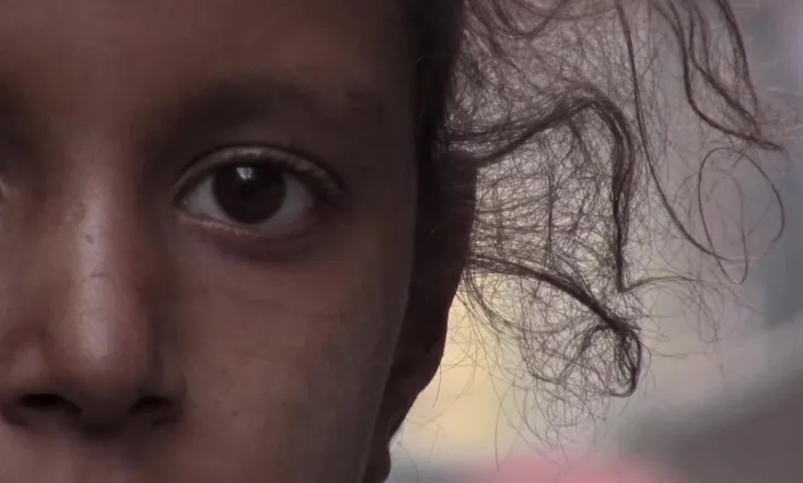 Little Palestine: Diary of a Siege