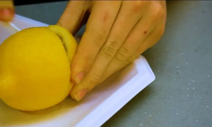 Live Hard or Kick Die