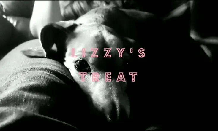 Lizzy's Treat