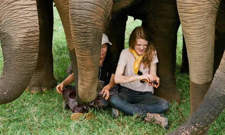 Love & Bananas: An Elephant Story