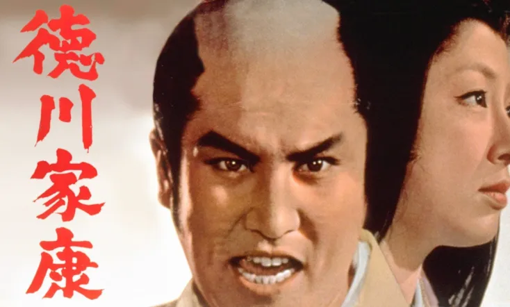 Lord Tokugawa Ieyasu