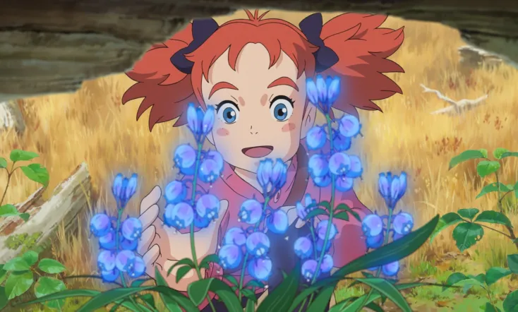 Mary and the Witch's Flower