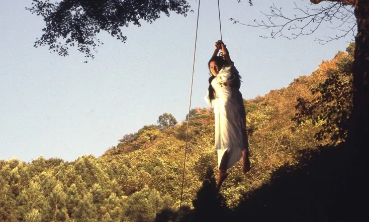 Madame Evening Glory