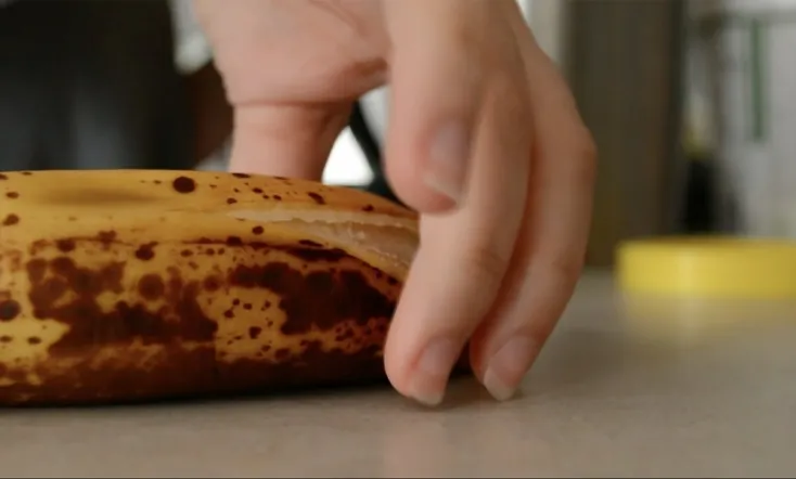 Making Friends: A Story of A Time in Isolation