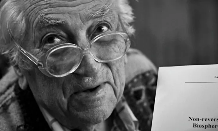 Many summers. Stable