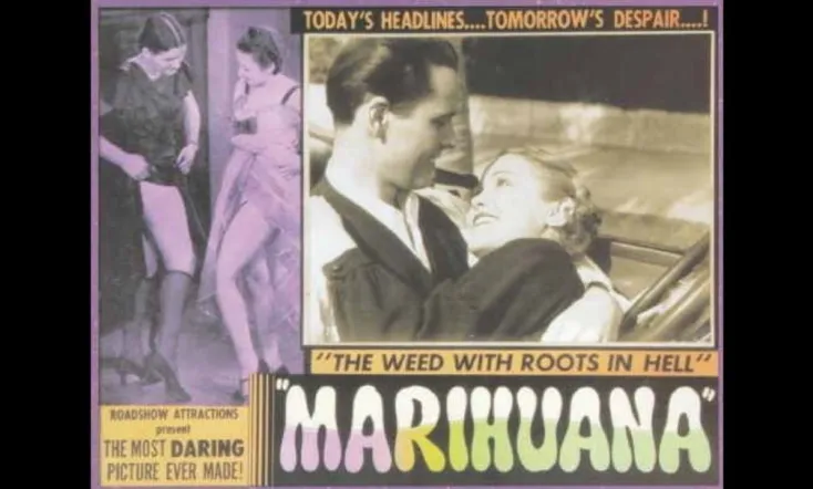 Marihuana El Monstruo Verde