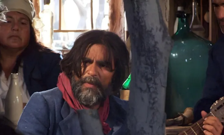 Martín Fierro, el ave solitaria