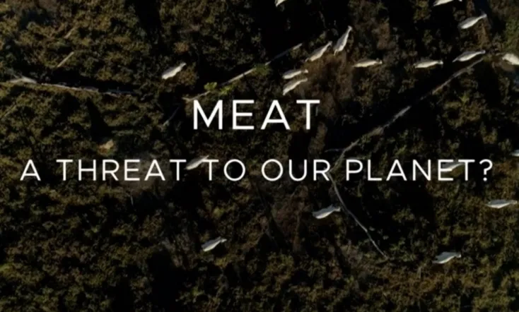 Meat: A Threat to Our Planet